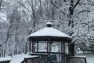 9825 Korman Ct, Potomac, MD 20854 - Photo 12