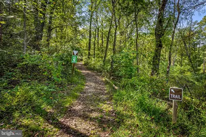 660 Greenbridge Road, Brookeville, MD 20833 - Photo 6