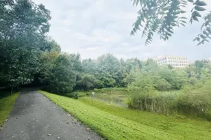 913 King Farm Blvd, Rockville, MD 20850 - Photo 30