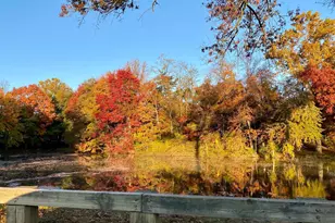 104 Bucksfield Rd, Gaithersburg, MD 20878 - Photo 36