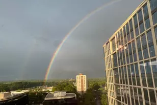 930 Rose Ave, Rockville, MD 20852 - Photo 30