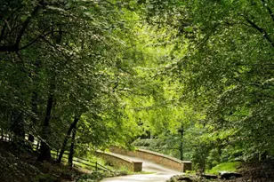 9723 Beman Woods Way, Potomac, MD 20854 - Photo 68