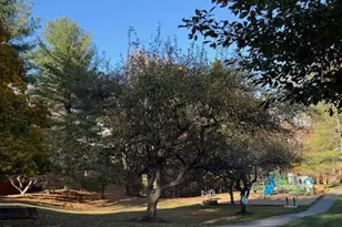 11640 Pleasant Meadow Dr, North Potomac, MD 20878 - Photo 92