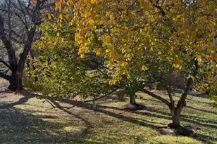 11640 Pleasant Meadow Dr, North Potomac, MD 20878 - Photo 86