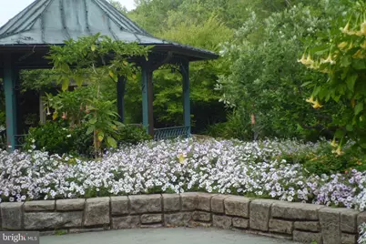 3808 Delano Street, Silver Spring, MD 20902 - Photo 52