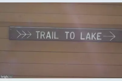 3808 Delano Street, Silver Spring, MD 20902 - Photo 34