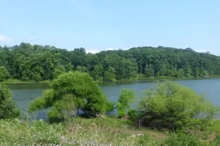 3808 Delano St, Silver Spring, MD 20902 - Photo 18