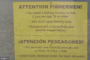 3808 Delano St, Silver Spring, MD 20902 - Photo 28