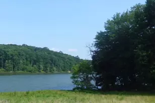 3808 Delano St, Silver Spring, MD 20902 - Photo 4