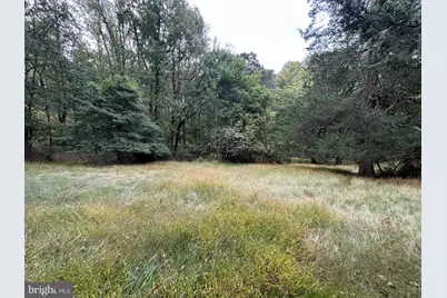 15325 Holly Grove Road, Silver Spring, MD 20905 - Photo 6