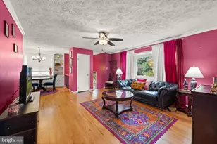 3700 Ralph Rd, Silver Spring, MD 20906 - Photo 10