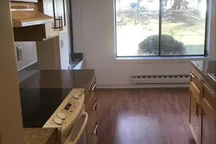 15311 Pine Orchard Dr, Silver Spring, MD 20906 - Photo 6