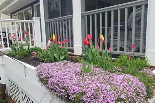 5612 Oak Pl, Bethesda, MD 20817 - Photo 50