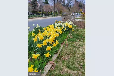 5612 Oak Place, Bethesda, MD 20817 - Photo 54