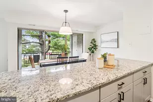 12201 Braxfield Ct, Rockville, MD 20852 - Photo 14