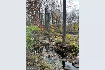 805 Forston Street, Takoma Park, MD 20912 - Photo 4