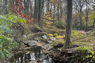 805 Forston St, Takoma Park, MD 20912 - Photo 4