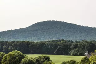 22170 Dickerson School Rd, Dickerson, MD 20842 - Photo 60