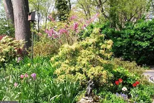 10409 Gary Rd, Potomac, MD 20854 - Photo 14