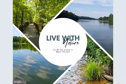 13516 Clear Morning Place, Germantown, MD 20874 - Photo 44