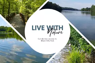 13516 Clear Morning Pl, Germantown, MD 20874 - Photo 44