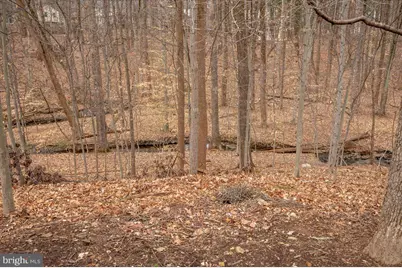 14 S Duke Street, Rockville, MD 20850 - Photo 60