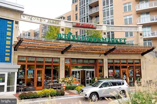 4620 N Park Ave, Chevy Chase, MD 20815 - Photo 58