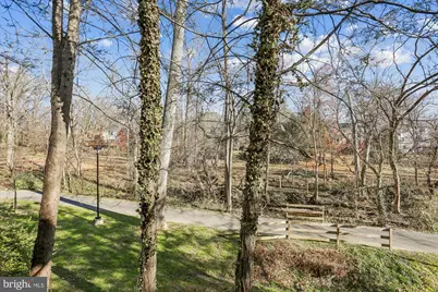 921 Prospect Street, Takoma Park, MD 20912 - Photo 100