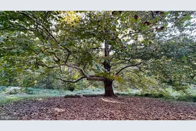 10280 Arizona Circle #63, Bethesda, MD 20817 - Photo 48