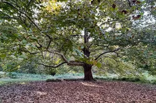 10280 Arizona Cir, Bethesda, MD 20817 - Photo 58