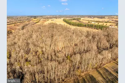 12420 Prices Distillery Road, Damascus, MD 20872 - Photo 16