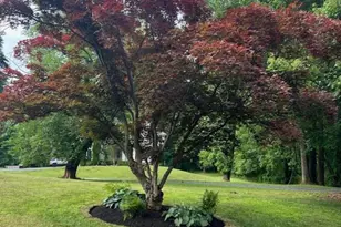 13217 Locksley Ln, Silver Spring, MD 20904 - Photo 1