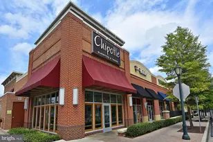 313 Potter Ln, Rockville, MD 20850 - Photo 88