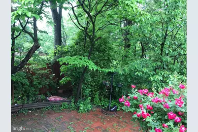 822 Harrington Road, Rockville, MD 20852 - Photo 6