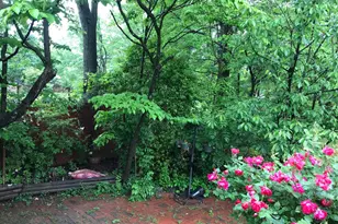 822 Harrington Rd, Rockville, MD 20852 - Photo 6