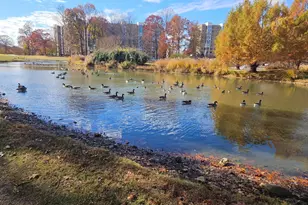 15107 Interlachen Dr, Silver Spring, MD 20906 - Photo 24