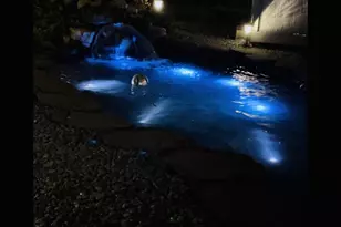 2723 Randolph Rd, Silver Spring, MD 20902 - Photo 32