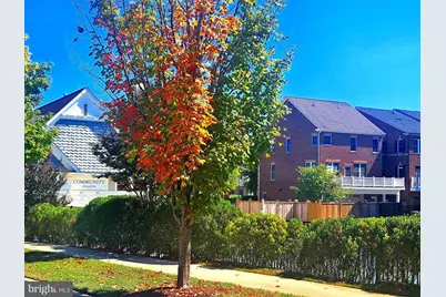 336 Grand Street, Gaithersburg, MD 20878 - Photo 4