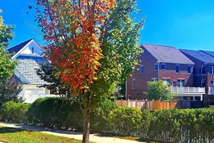 336 Grand St, Gaithersburg, MD 20878 - Photo 4