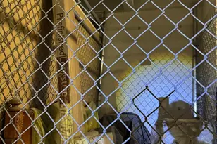 24 Courthouse Sq, Rockville, MD 20850 - Photo 42