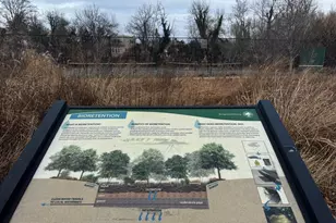 10502 Glenhaven Dr, Silver Spring, MD 20902 - Photo 18