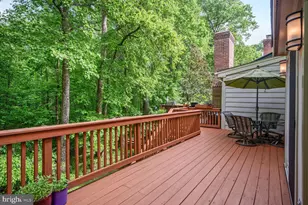 12229 Tildenwood Dr, Rockville, MD 20852 - Photo 10