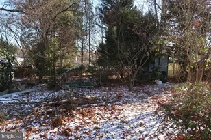 1229 Simmons Dr, Rockville, MD 20851 - Photo 6