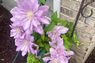 13516 Goldeneye Cir, Clarksburg, MD 20871 - Photo 78