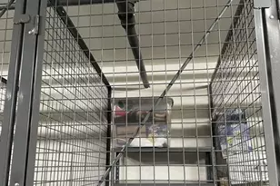 11800 Old Georgetown Rd, North Bethesda, MD 20852 - Photo 32