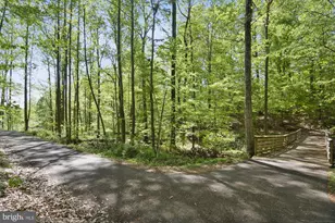 21732 Brink Meadow Ln, Germantown, MD 20876 - Photo 88