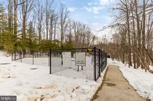 3501 Bellflower Ln, Rockville, MD 20852 - Photo 54