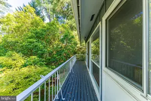 9812 Betteker Ln, Potomac, MD 20854 - Photo 6