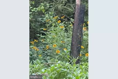 11504 Alcinda Lane, North Potomac, MD 20878 - Photo 34