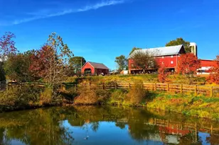 19612 Lewis Orchard Ln, Poolesville, MD 20837 - Photo 82